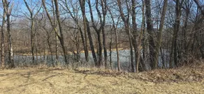 Pond View - Image 2
