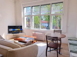 The Kimiko • Movie & relaxation atmosphere - Image 4