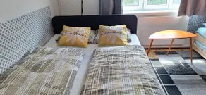 Apartment near Vienna - Image 5