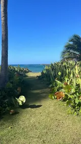 Sands - Breeze at the Ocean - Image 4