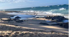 Sands - Breeze at the Ocean - Image 5
