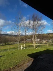 Country Cabin - Image 5
