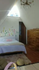 Cabin to disconnect, riding class - Image 2