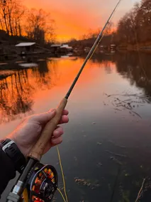 The Red Fly (Riverfront Access!) - Image 3