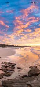 Saltbush Coastal - Image 2