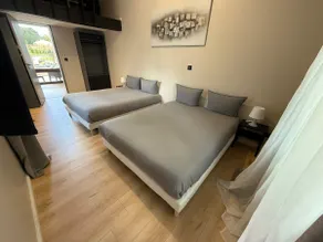 Estate 6 bedrooms. Private pool & Jacuzzi Montauban - Image 5