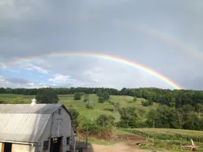 Old Country Farmhouse 150 Acre View With Hot Tub - Image 3