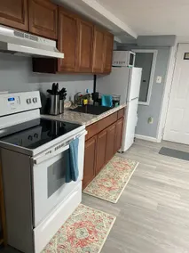 Spacious 1BR , 15 mins from UBS and JFK - Image 4