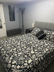 Spacious 1BR , 15 mins from UBS and JFK - Image 4