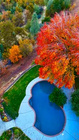 11 Acres, Pool, Fire Pit, Hot Tub, Starlink, EV - Image 4