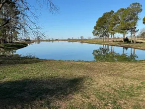 The Lake House - Image 5