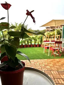 Iris Studio-garden+jacuzzi, Wherenxtvacay IG - Image 4