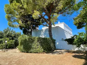 Puglia Masseria | Steps to Borgo Egnazia - Image 3