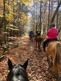 Big South Fork! Peaceful, Relaxing, On the Trails…Six Decks ~ Nature’s Paradise! - Image 5