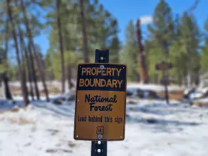 National Forrest! ~Cozy Mountain Cabin Getaway! - Image 4