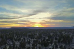 National Forrest! ~Cozy Mountain Cabin Getaway! - Image 3
