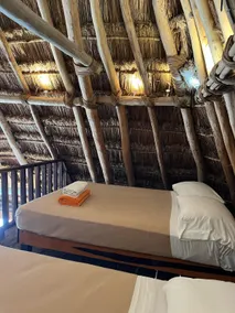 Whale Shark Cabin. Rhincodon Typus. - Image 4