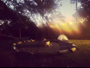 Find yourself in the Forest - Image 3