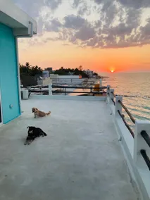 Casita Bonita - Image 5