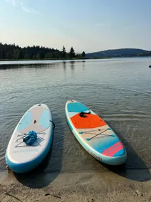 Cozy Cabin in Bellingham | Family & Dog Friendly - Image 3