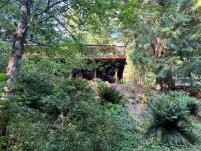 Cozy Cabin in Bellingham | Family & Dog Friendly - Image 5