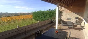 Ferier i Pouilly / Loire med udsigt over Loire og vinmarkerne klassificeret 2 stjerner - Image 2