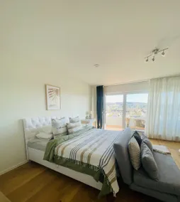 Studio suite apartment in Lörrach - Image 5