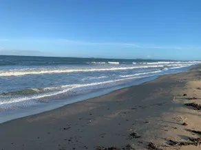 Wooded beach house 550 meters from the sea (Cabo Frio) - Image 3