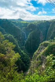 Barranquitas Studio - Image 4