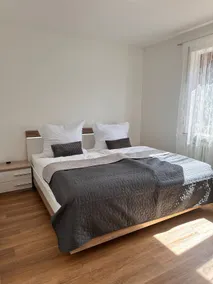 Luxury 3BD family apartment near Lake Constance - Image 2