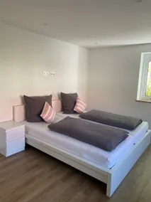 Newly renovated apartment - Image 4