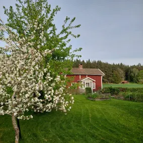 Torpet Karlsro near Vättern - Image 3