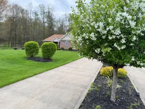 NEW! Treeview Hideaway! Spacious and Comfortable! - Image 3