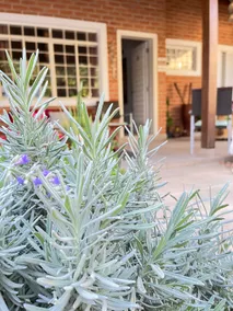 Cozy House to Relax - close to the wineries - Image 2
