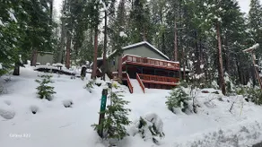 Bright open home with wildlife, 2 decks, fast Wifi - Image 5