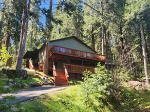 Bright open home with wildlife, 2 decks, fast Wifi - Image 2