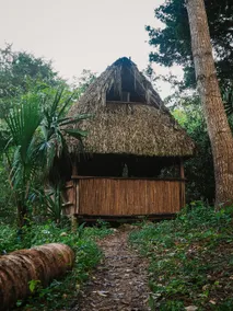 The cabin! - Image 5