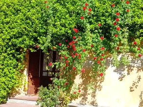 In the village of Via Palazzo Rossi/Via Degli Dei/Ciclovi - Image 2