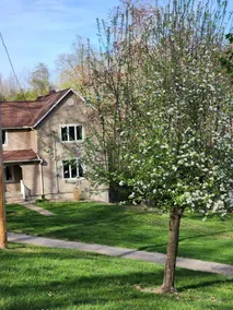 Remote, Wooded, Wildlife. Deer Creek Retreat - Image 5