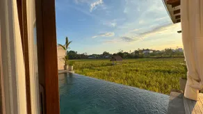 Tropical Hideaway 1 - Image 2