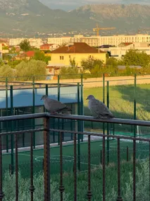Peaceful Private Retreat close to Airport - Image 4