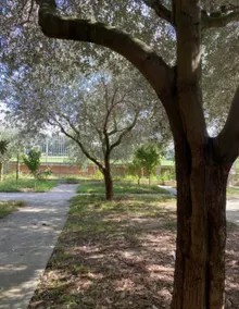 Peaceful Private Retreat close to Airport - Image 5