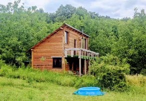 Handmade heaven: Butterfly meadow, cabin in woods - Image 2