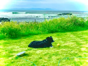 The Beach House @ Craignahullie - Image 4