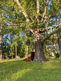 The Refuge - Image 4