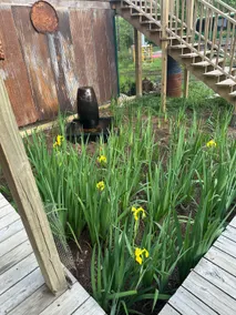 Lulu’s Louisiana Swamp Camp - Image 2