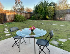 [Family Pick!] Stanford Meta | Enclosed Yard Pets - Image 4