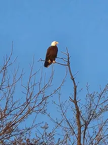 Peaceful off the beaten path on the Delaware Bay - Image 5