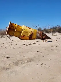 Peaceful off the beaten path on the Delaware Bay - Image 2