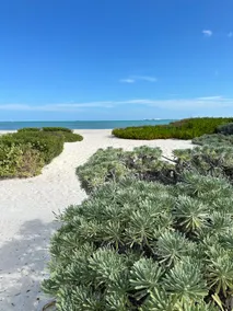 Casa 404 - Image 3